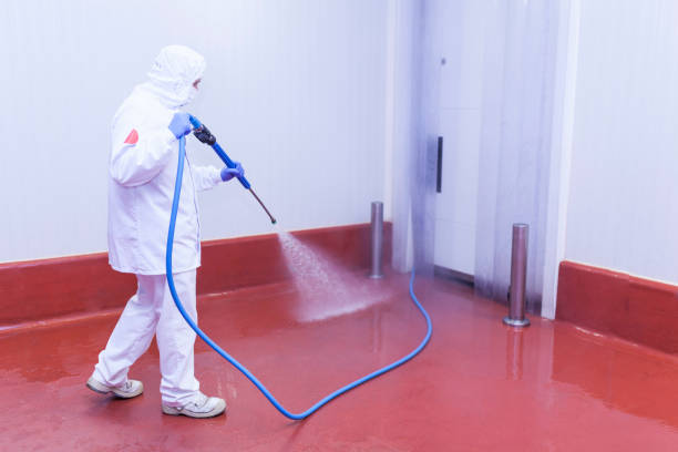 Best Playground Equipment Cleaning  in Anthony, TX